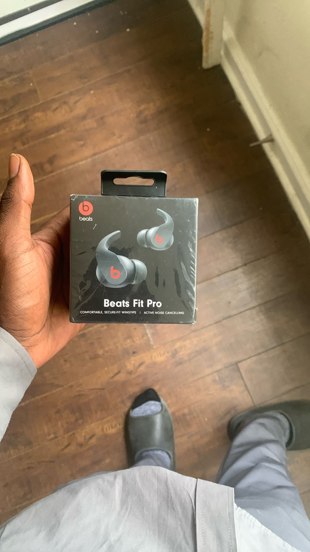 Beats Fit Pros