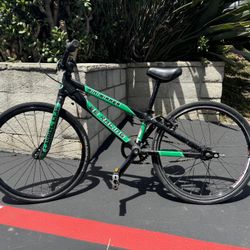 SE Mini Ripper 20 Inch BMX Race Bike