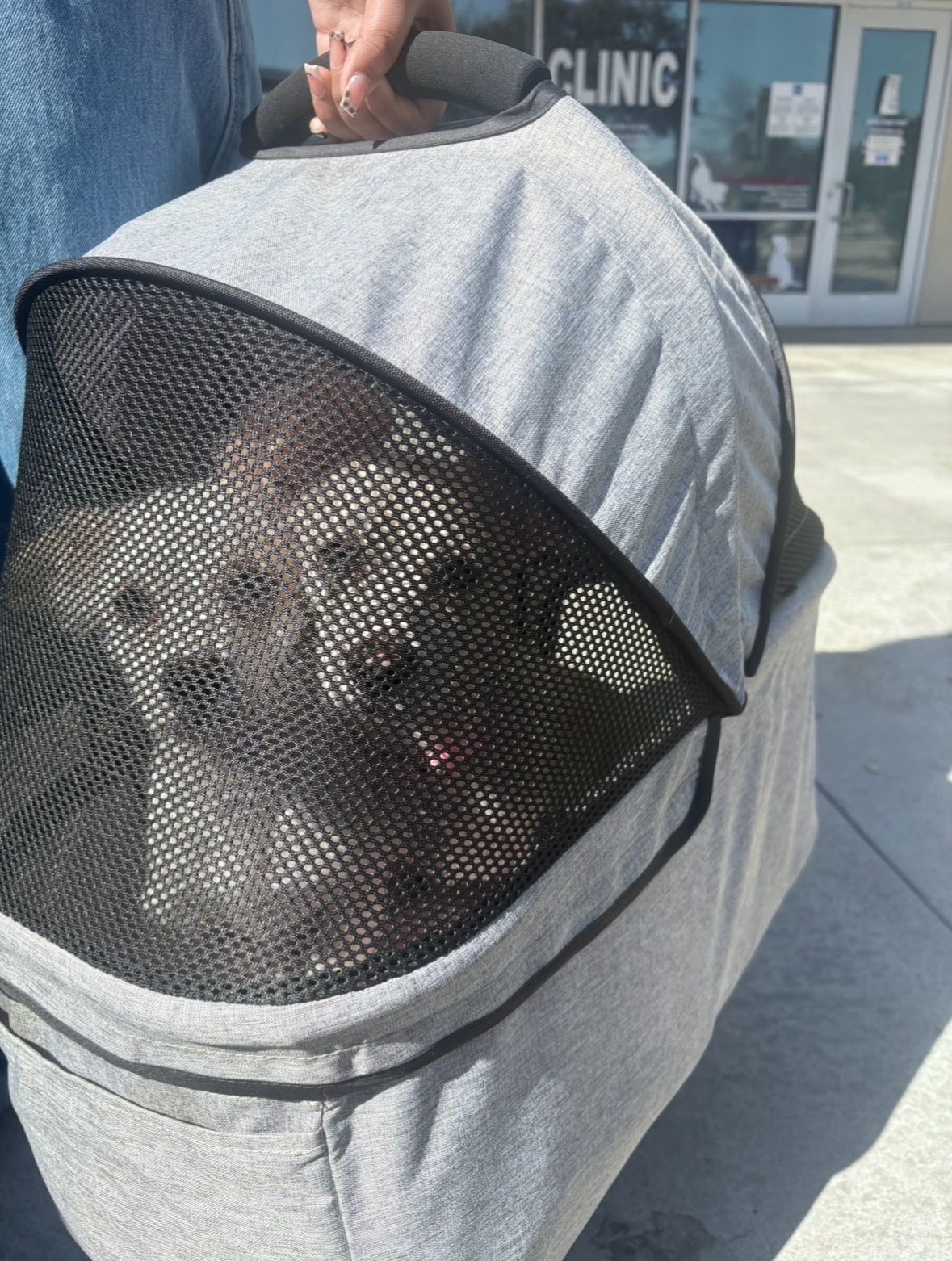 Dog stroller