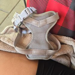 Dog Collar Size Small 