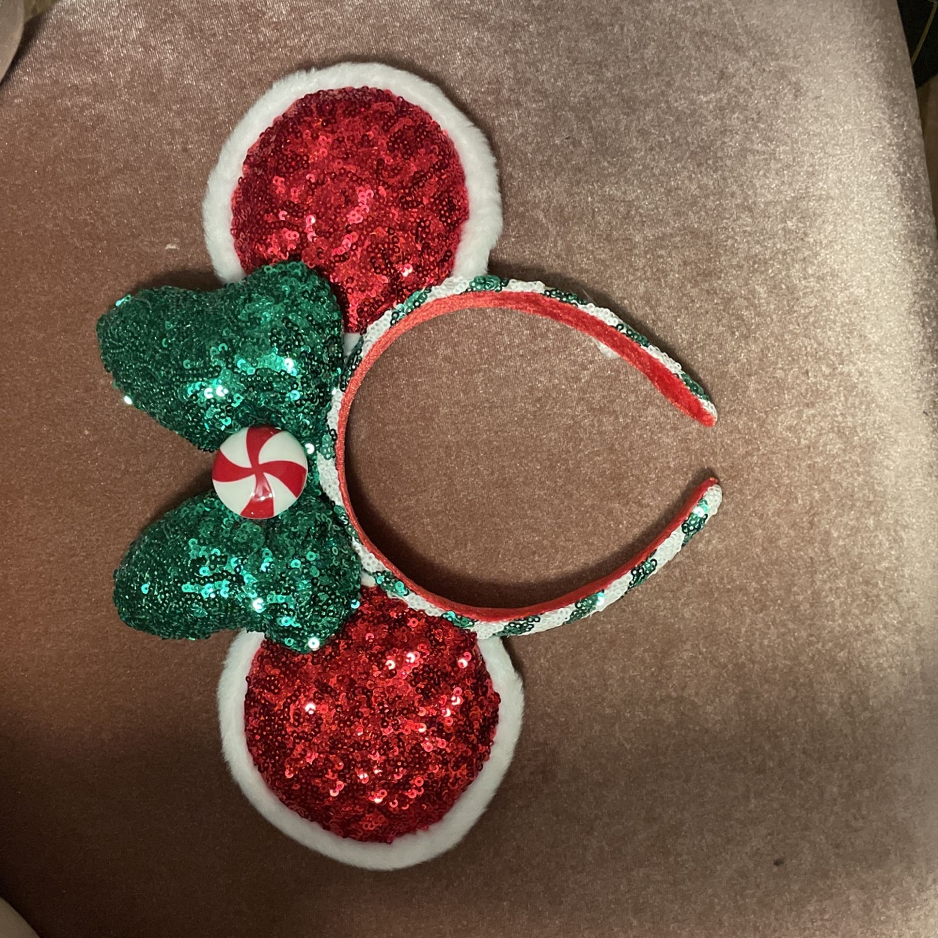 Christina’s Mickey Ears