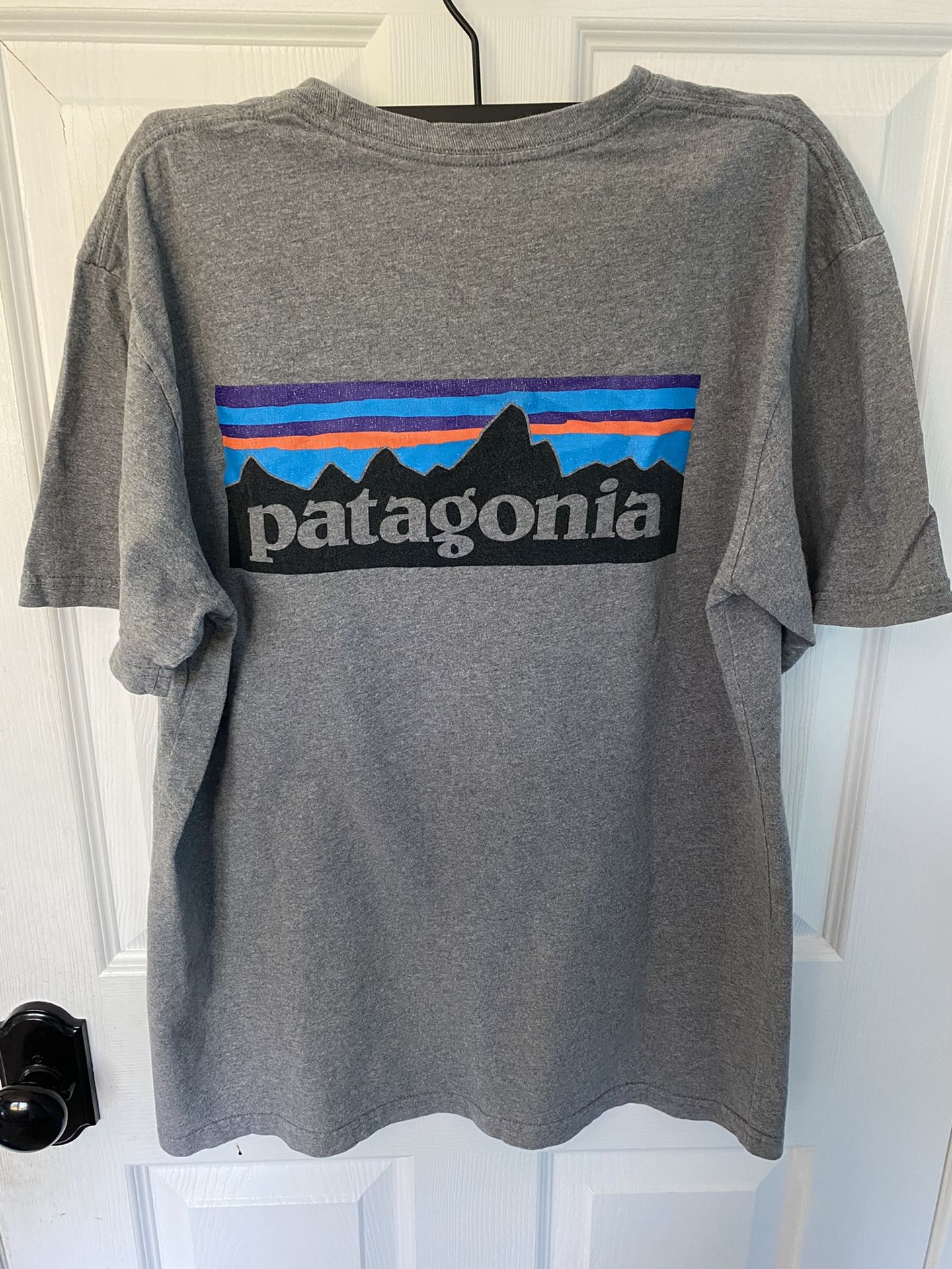 Patagonia Logo Tee