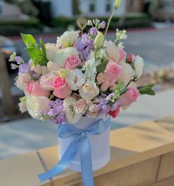Flower Boxes 