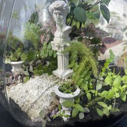 Roman Terrarium