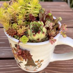 Outdoor Succulent Mug. Sammamish, Beaver Lake 