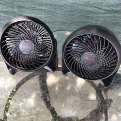 Two Fan's 