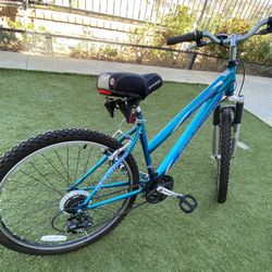 Mountain Bike 26 Inch Run Good $55