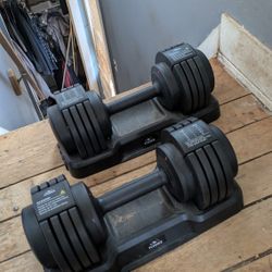 Flybird adjustable Dumbells