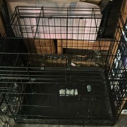 Dog Cage