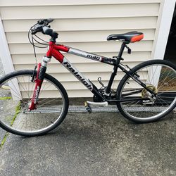 Raleigh M40 bike