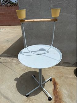 Parrot Stand