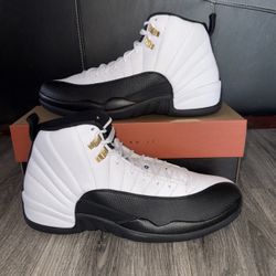 Brand New Jordan 12 Taxi Size 14