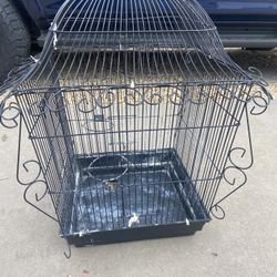 Bird Cage