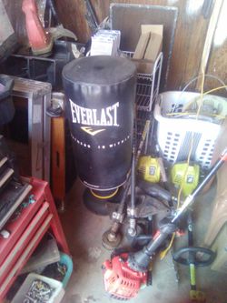 Everlast Punching Bag