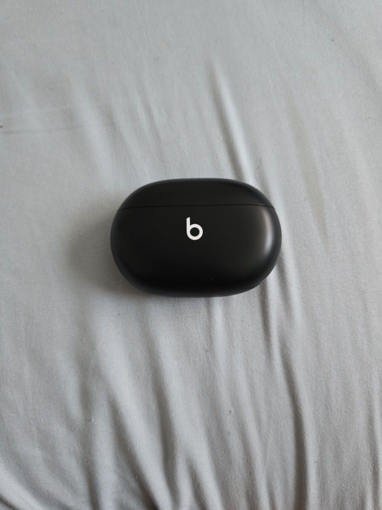 Beats Studio Pro Ear Buds.