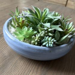 Fake Succulent Bowl 