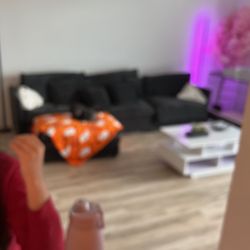 Couch Dog Not Included 