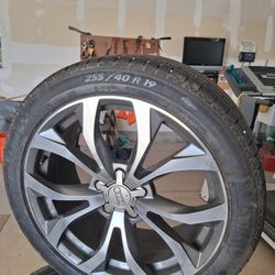 Audi Tires & Rims