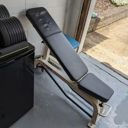 Cybex Adjustable Bench
