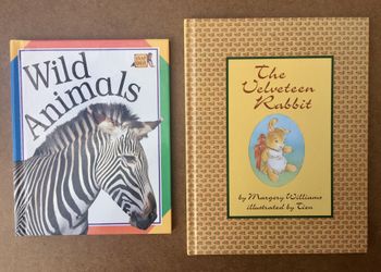 2 Hardcover Children’s Books