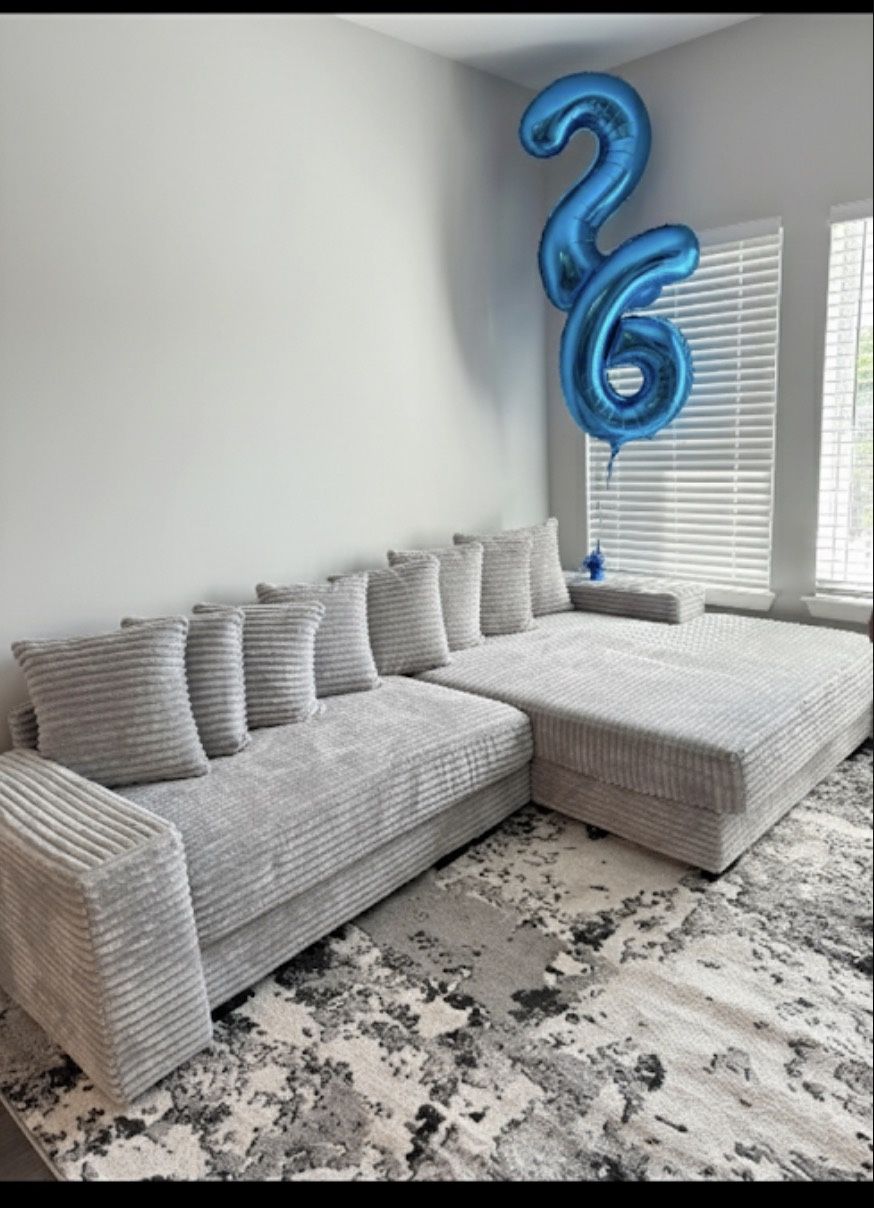 Light Grey Plush Couch