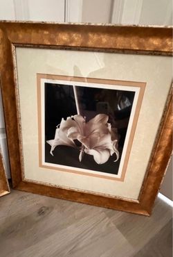 Framed Flower Photography Print Gold Frame