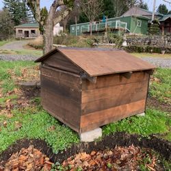 Dog House  