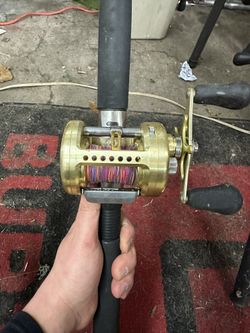 Team Daiwa Luna300