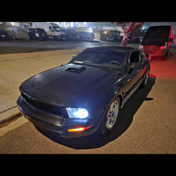 Mustang 2008  1500