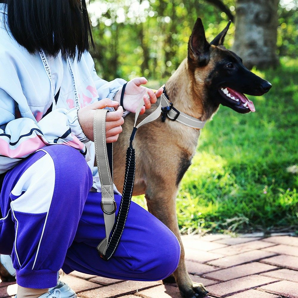 NEW!! Dog Grey Bungee Leash and Collar Set