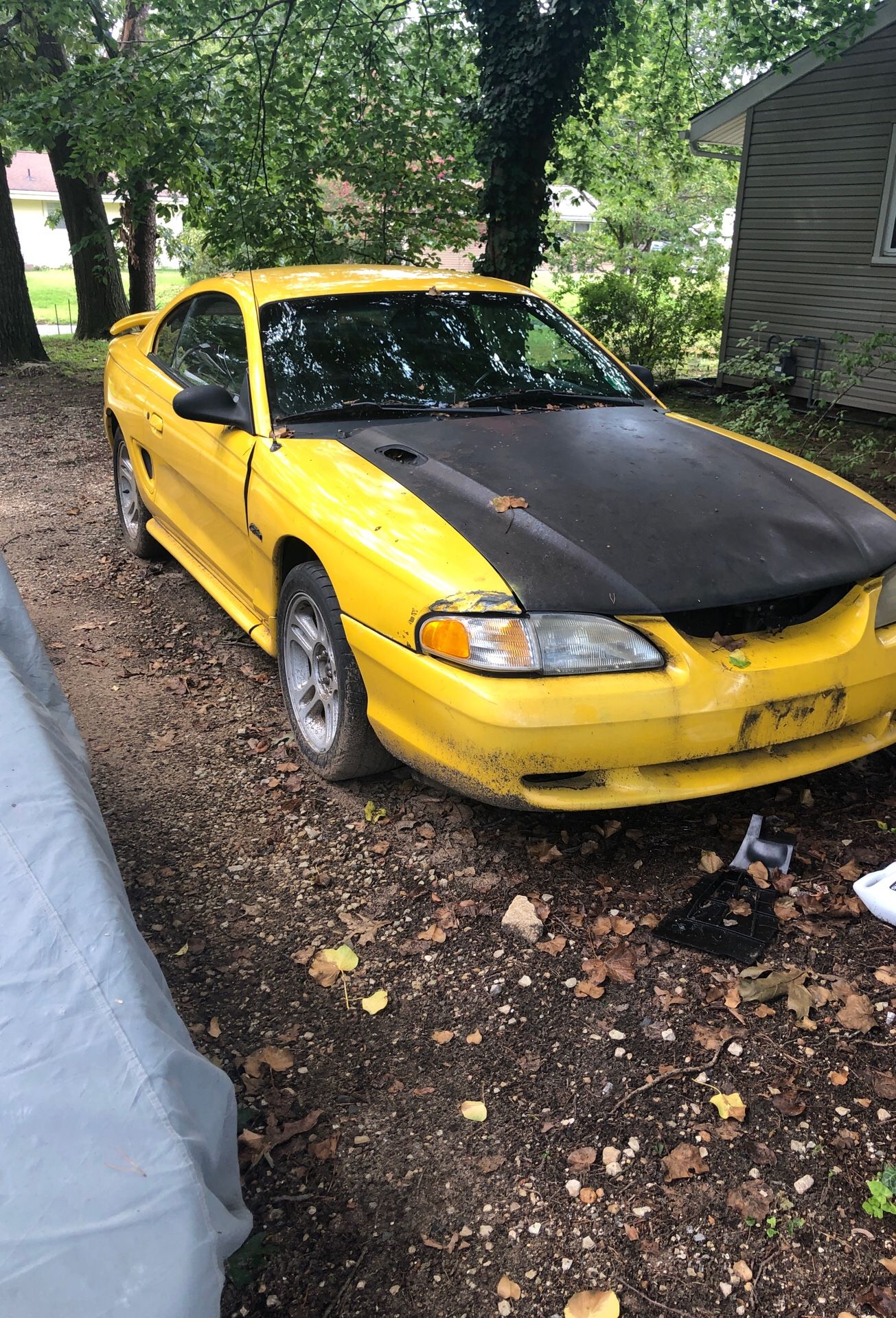 1998 Ford Mustang