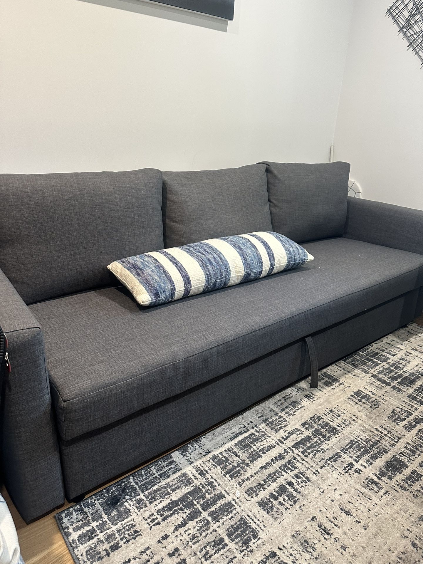 Couch With Pull Out Sofa Bed