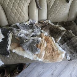 Rabbit Fur Nice And Clean Rave Party Make A Jacket