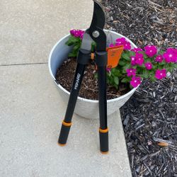 Tree Branch  Palm Tree Trimmers/ Pruner