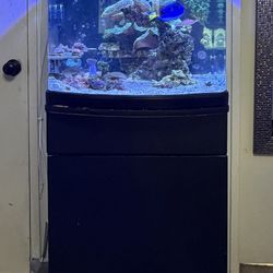 JBJ AIO 28g Tank 