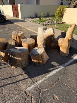 Wood logs stumps