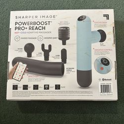 Sharper Image Massager