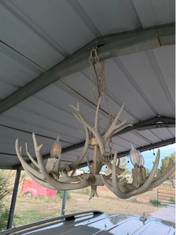 Deer antler chandelier pottery barn