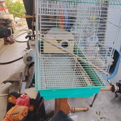 Bird Cage