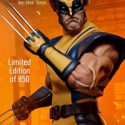 Hot Toys, Sideshow & Iron Studios Statues