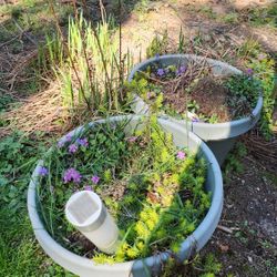 Saturday Outdoor Sale 😎 