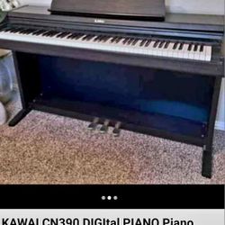 Kawai Cn 390 Digital Piano