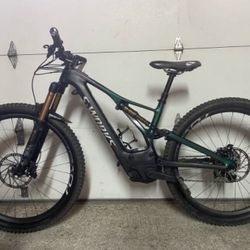 SPECIALIZED LEVO SWORKS