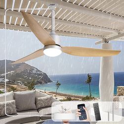 52” Plug-in Outdoor Ceiling Fan w/Light