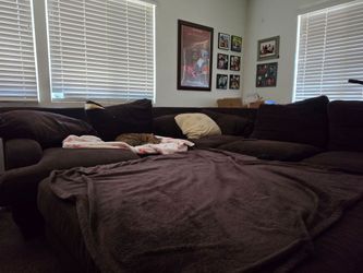 Chocolate Brown Corduroy Sectional Couch – Free to a Good Home