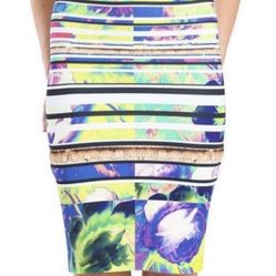 Acropolis Garden pencil skirt by Clover Canyon Size XS.