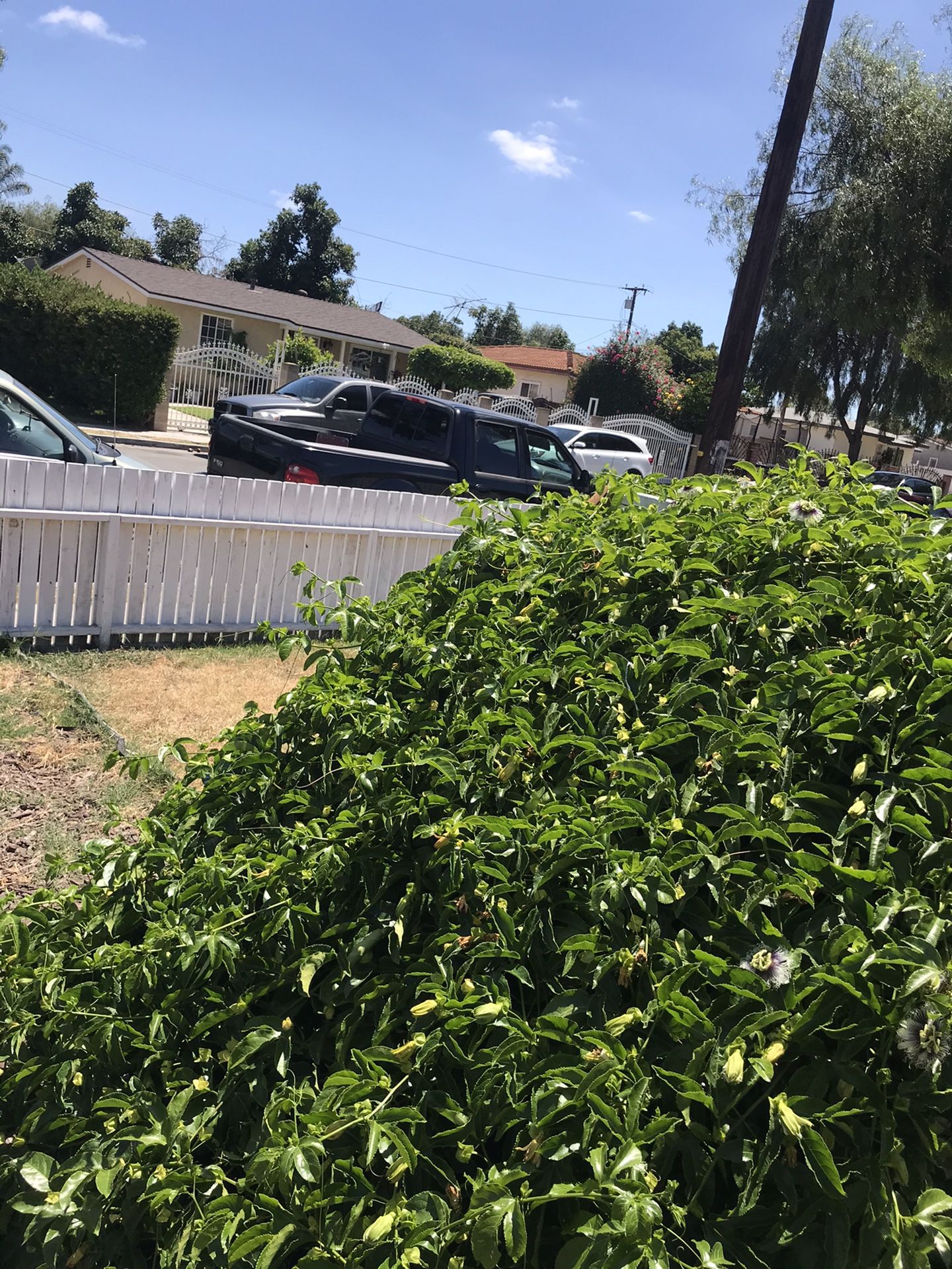 Best prices in oc