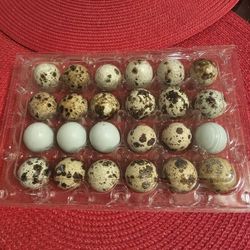 Quail eggs 