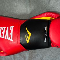 Brand New Everlast Gloves