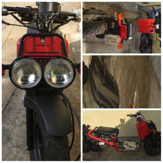 Custom Honda Ruckus